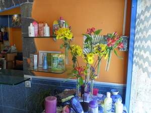 Galeria