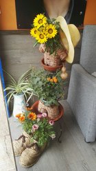 Escaparates