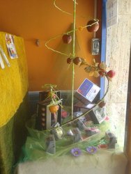 Escaparates