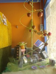 Escaparates